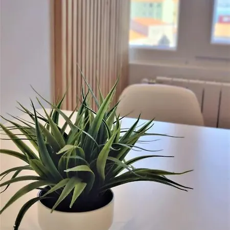 Apartamento Vistas Preciosas Recien Reformado 2 Dobles Santander